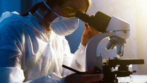 CNPq investe R$ 100 milhões em diversidade. (Foto: Artem Podrez/Pexels)