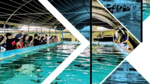 maricultura sustentável