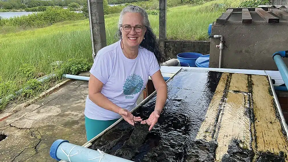 Conheça a maricultura sustentável: solução para crise pesqueira