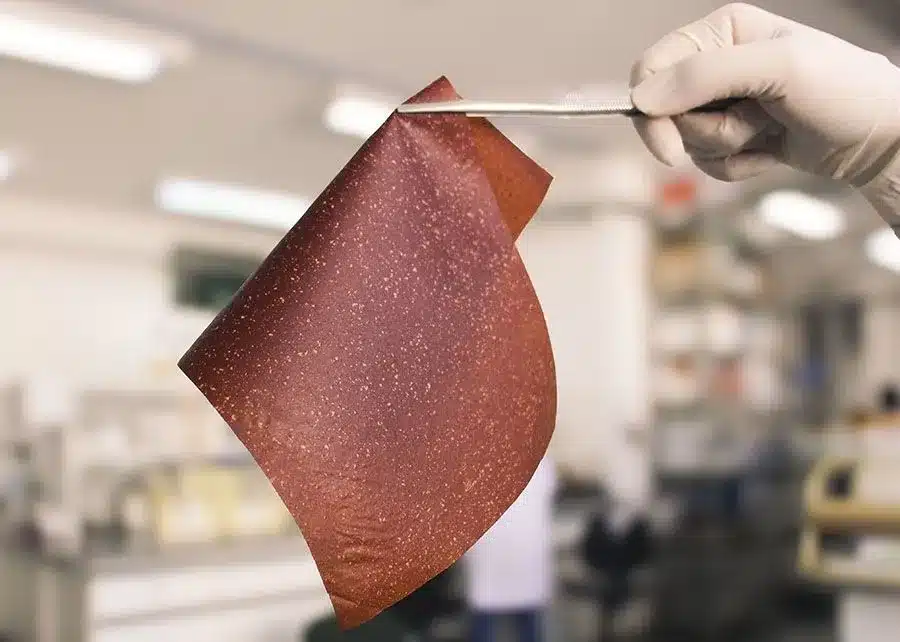 Cientistas - bioplástico - banana - alimentos