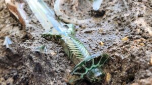 Arqueólogos descobrem espada viking de 3 mil anos