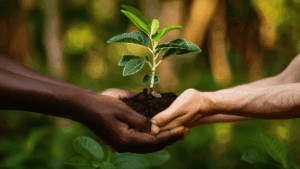 Sustentabilidade: 88% dos brasileiros adotam práticas ecológicas