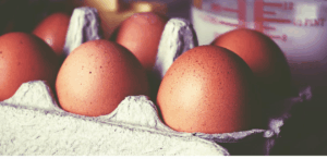 Importação de ovos do Brasil em destaque com ovos marrons em embalagem de papelão para exportação aos EUA.