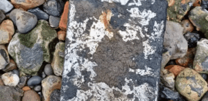 iPad coberto de lama encontrado entre pedras às margens do rio, peça-chave para a polícia desvendar rede de crime