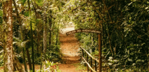 Entrada da Trilha do Aventureiro cercada por vegetação nativa da Mata Atlântica, representando o percurso da Trilha Interparques em São Paulo.