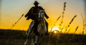 Celebração do Dia do Sertanejo com trajes típicos e danças tradicionais do interior do Brasil.