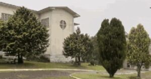 Flocos da primeira neve de 2025 caem sobre jardim na Serra Gaúcha