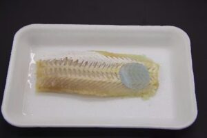 Embalagem inteligente que muda de cor para indicar frescor do peixe