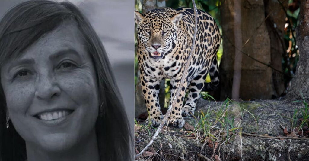 Cientista Yara Barros e onça-pintada protegida por seu projeto