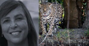 Cientista Yara Barros e onça-pintada protegida por seu projeto