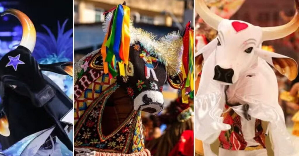 Representações coloridas do Bumba Meu Boi e Boi-Bumbá em festivais brasileiros