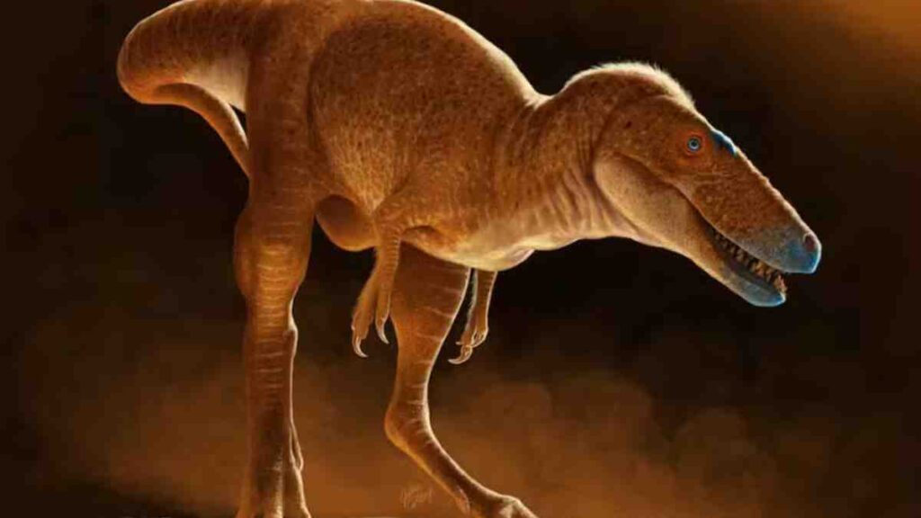 Pesquisadores descobrem percursor do T-Rex na Mongólia