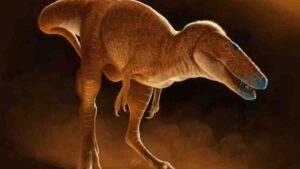 Pesquisadores descobrem percursor do T-Rex na Mongólia