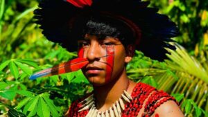 biodiversidade com povos indígenas