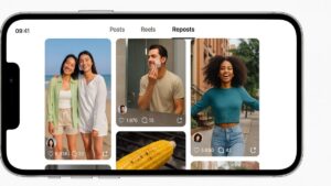 feed de republicações