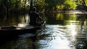 Homem em canoa remando em rio amazônico cercado por árvores, representando a conexão entre povos tradicionais e a natureza no Dia da Amazônia.