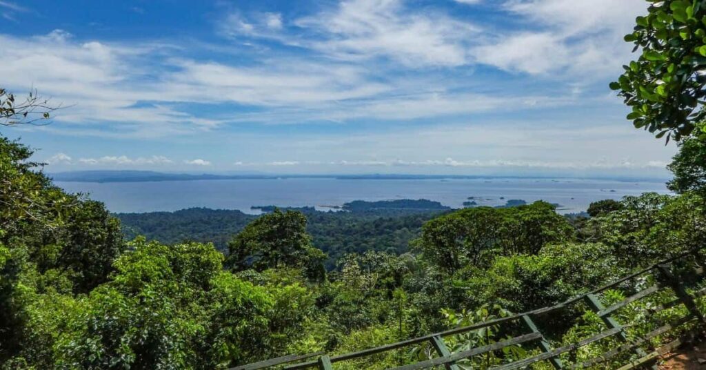 Compromisso global com as florestas no Suriname