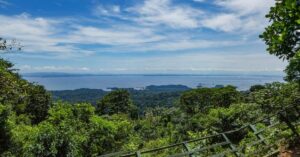 Compromisso global com as florestas no Suriname