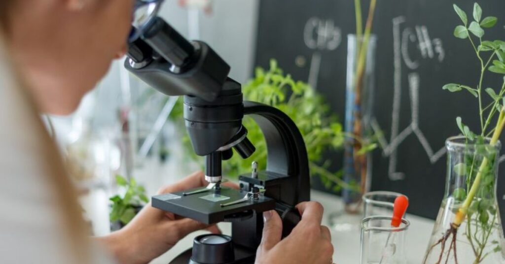 medicina integrativa - Pessoa em ambiente de laboratório observando uma amostra em microscópio. Ao fundo, há plantas em frascos de vidro e fórmulas químicas desenhadas em quadro negro, remetendo à pesquisa científica em fitoterapia e práticas integrativas.
