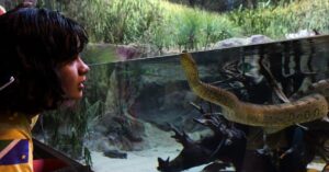 visitante observa uma sucuri no maior aquário de água doce do mundo