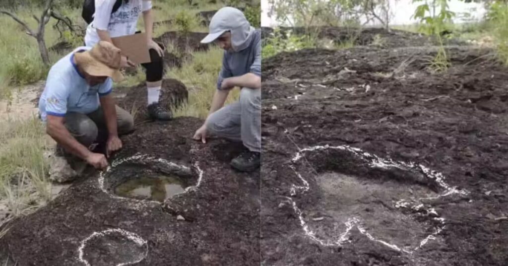 Pesquisadores analisam pegadas de dinossauros em Roraima