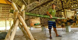 Trabalhador manuseia bambus usados na construção de edifícios de bambu no Equador.