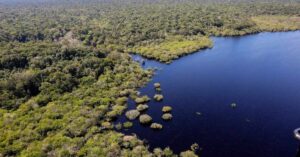 Queda do desmatamento é registrado na Amazônia e Cerrado