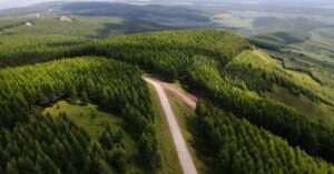 reflorestamento na China e impacto no ciclo da água