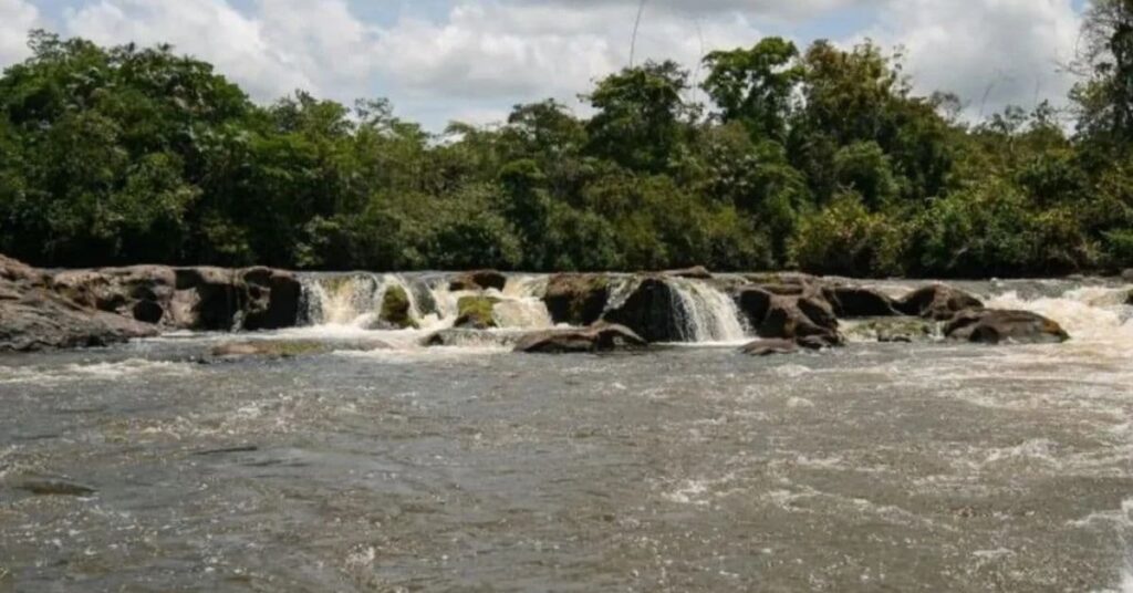 unidades de conservação do Brasil na RDS do Rio Iratapuru, no Amapá