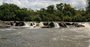 unidades de conservação do Brasil na RDS do Rio Iratapuru, no Amapá