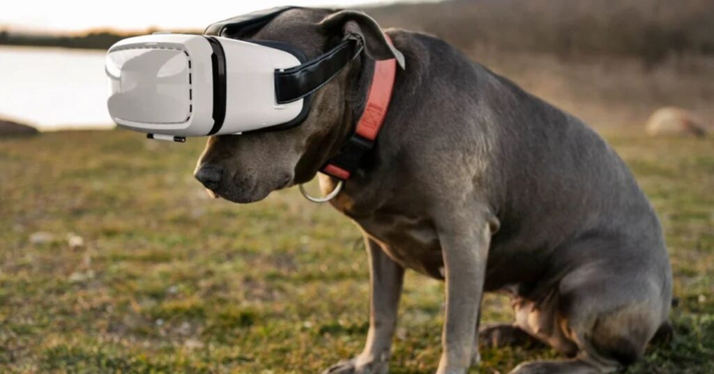 Cachorro usando coleira com IA equipada com sensores de monitoramento