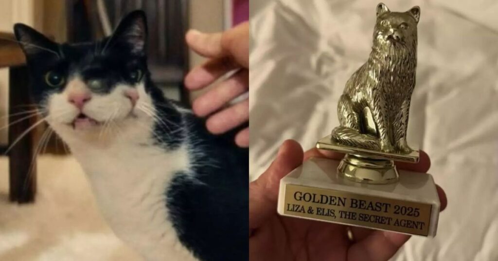 Gata do filme "O Agente Secreto" recebe prêmio Golden Beast em Nova York.