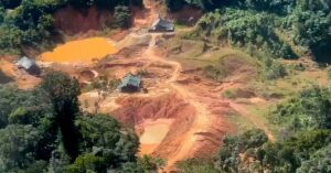 área degradada em região florestal relacionada à lei do licenciamento ambiental