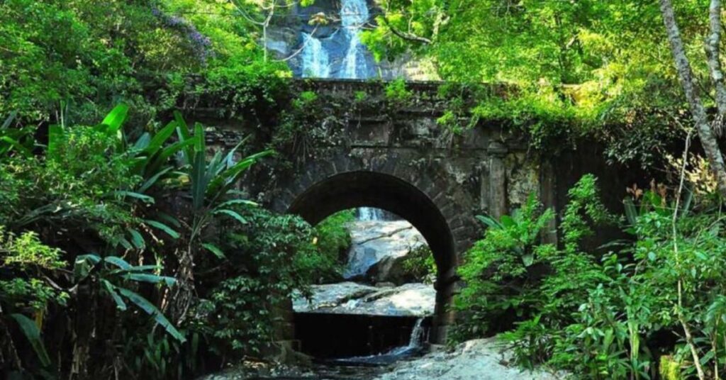 maior floresta urbana do mundo na Floresta da Tijuca, no Rio de Janeiro